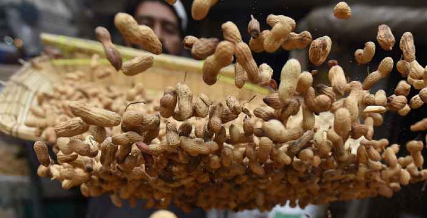Noten zouden notenallergie kunnen voorkomen