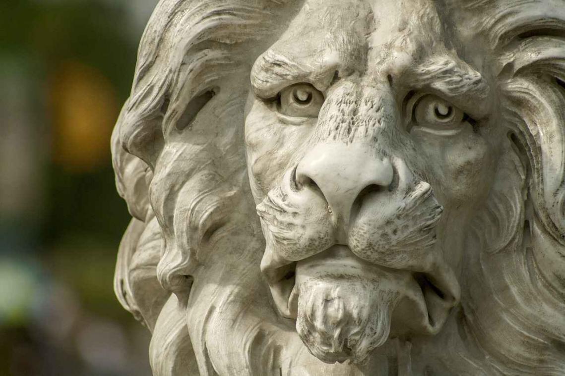 Is dit de somberste dierentuin ter wereld?