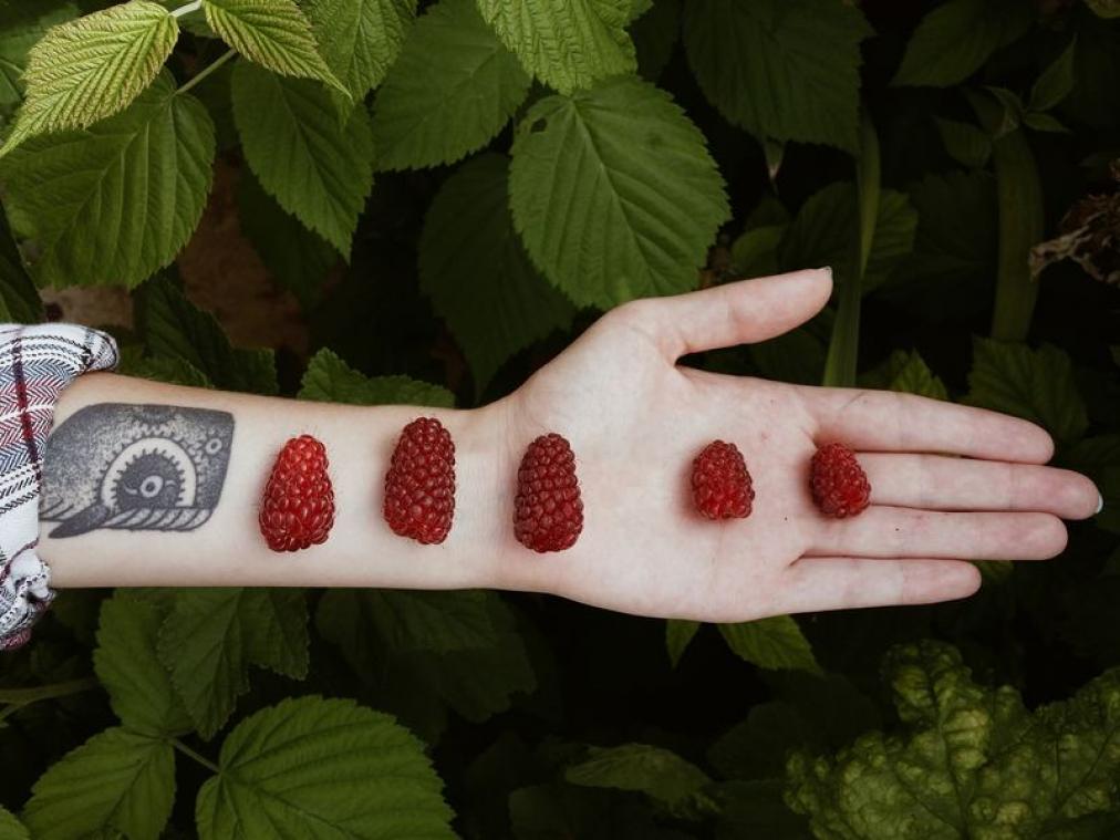 Fruittattoo's zijn de nieuwe Instagram-trend