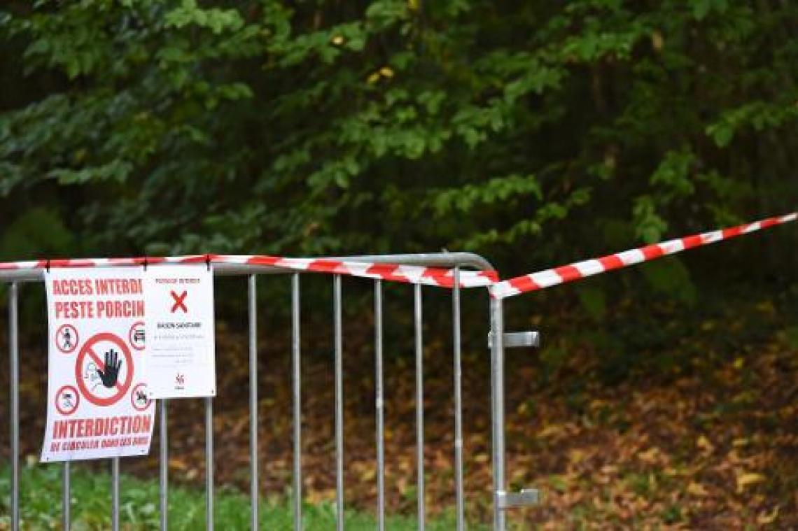 Scherpschutters zullen wilde everzwijnen in Luxemburg afmaken