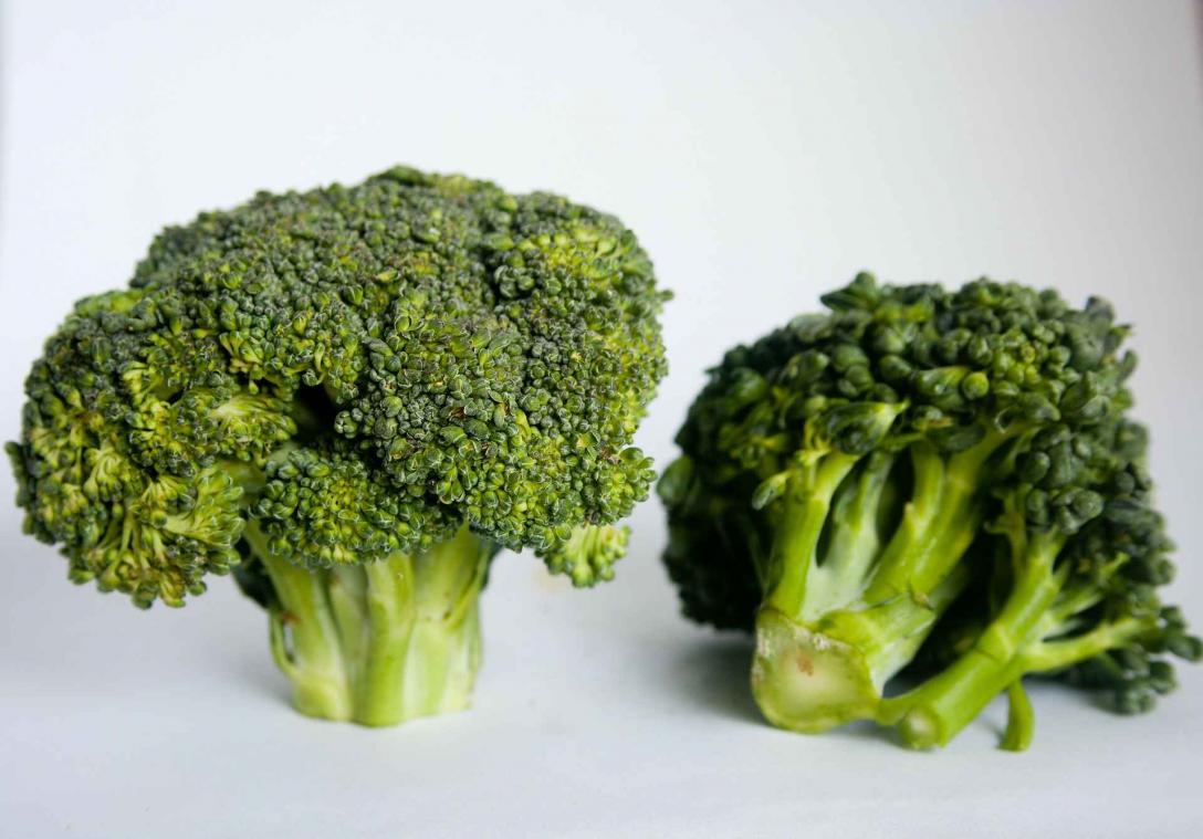 Broccoli beschermt ook tegen leverkanker