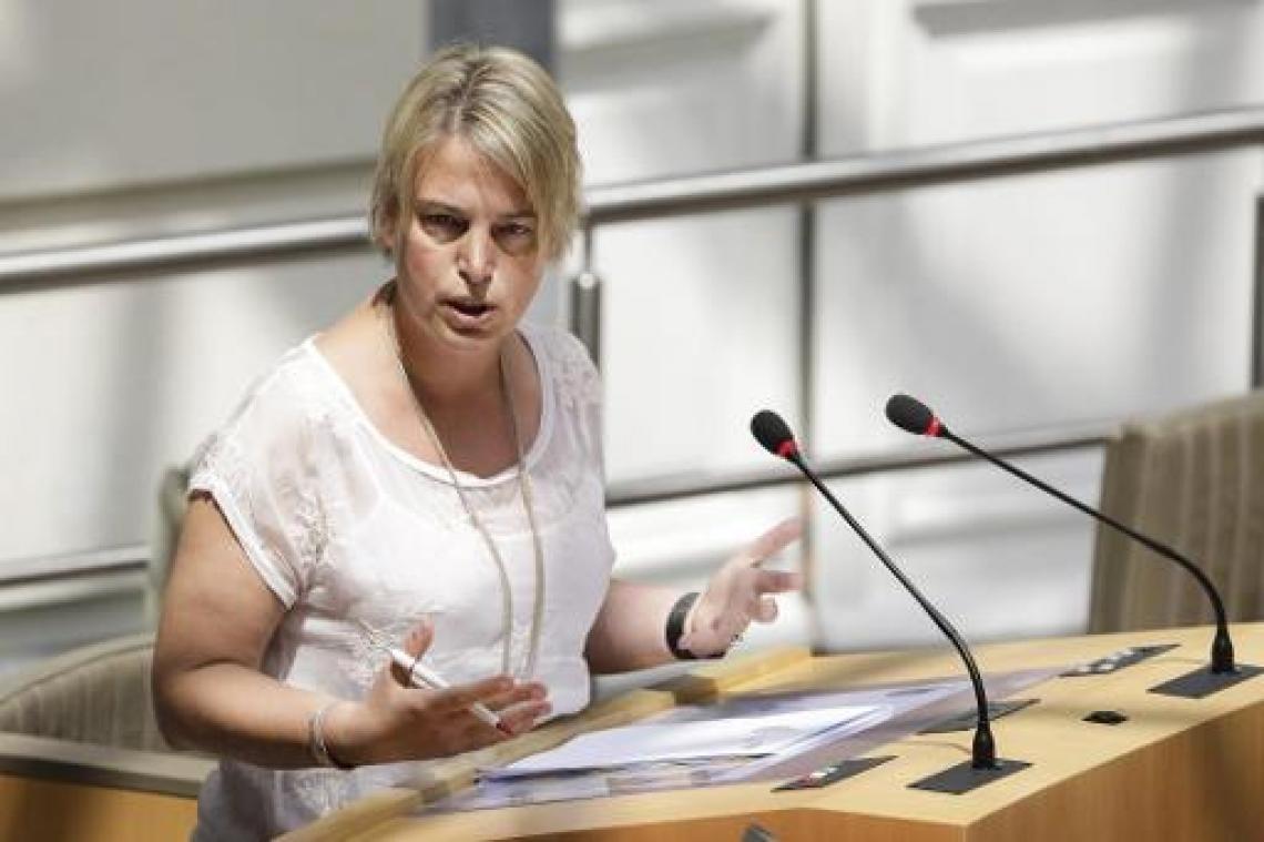 Schauvliege roept steden en gemeenten op vervelende autokaartjes te verbieden