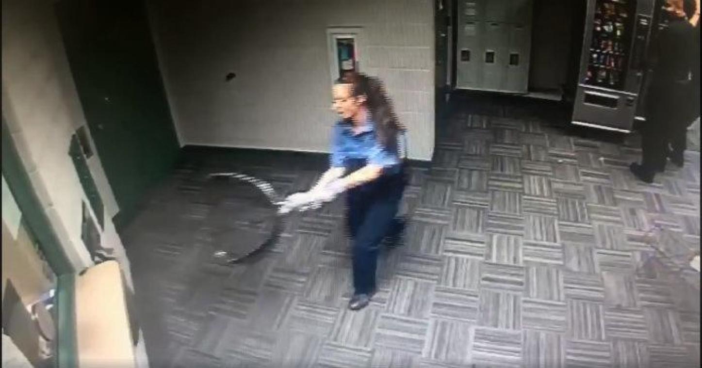 VIDEO. Wasbeertje breekt in in politiekantoor