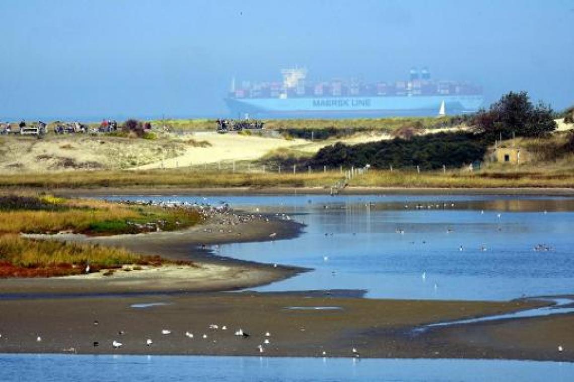Recordaantal trekvogels boven ons land geteld