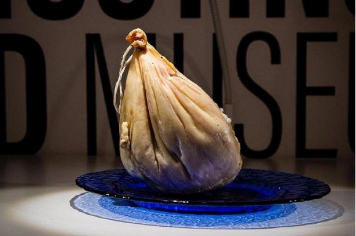 Disgusting Food Museum' opent in Zweden