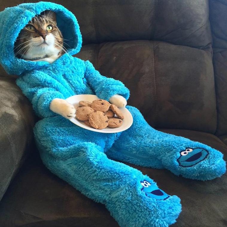 Amerikaanse ambassade stuurt uitnodiging voor 'Cookie Monster' uit