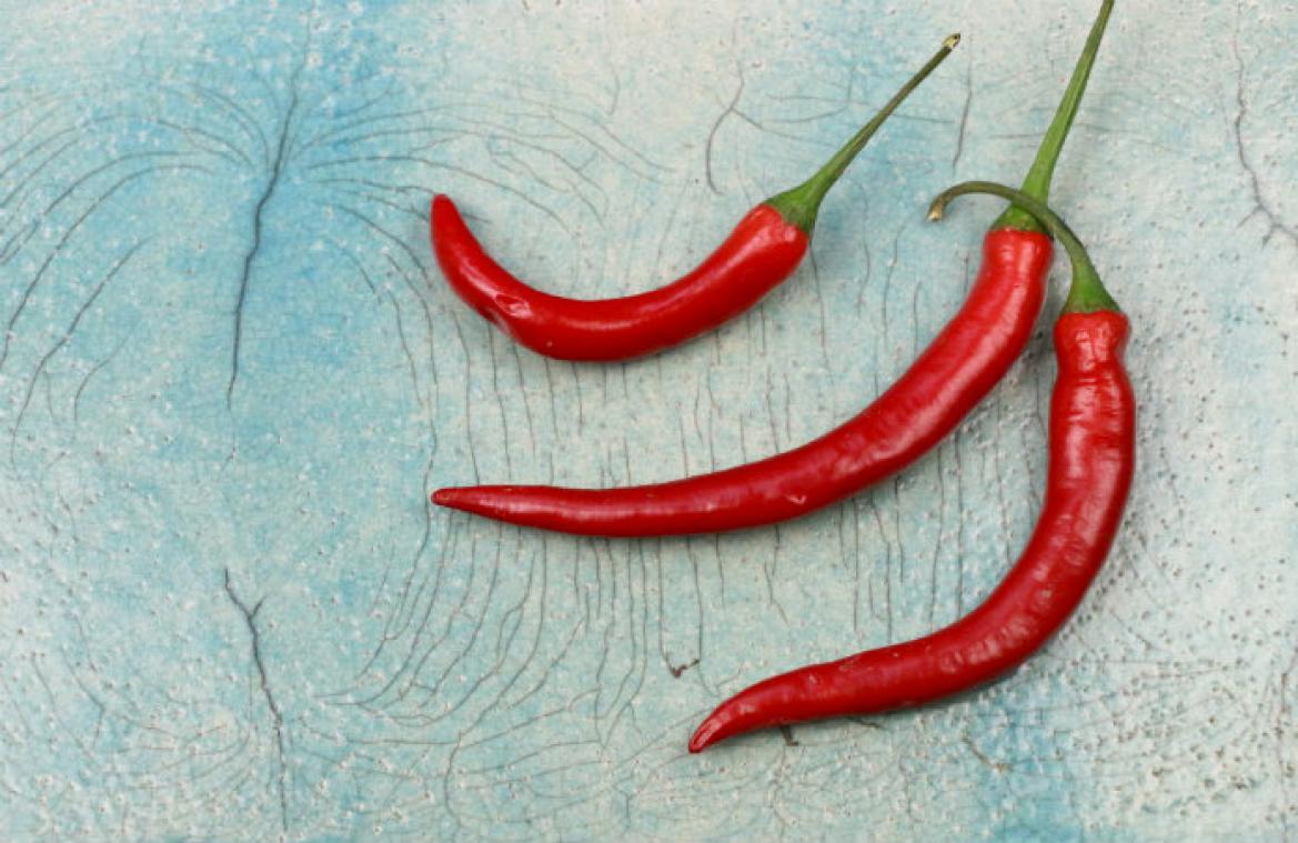 Brandweer rukt uit voor te pikante sambal