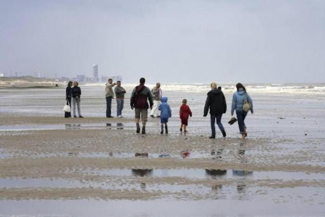 Vinvis aangespoeld in De Haan