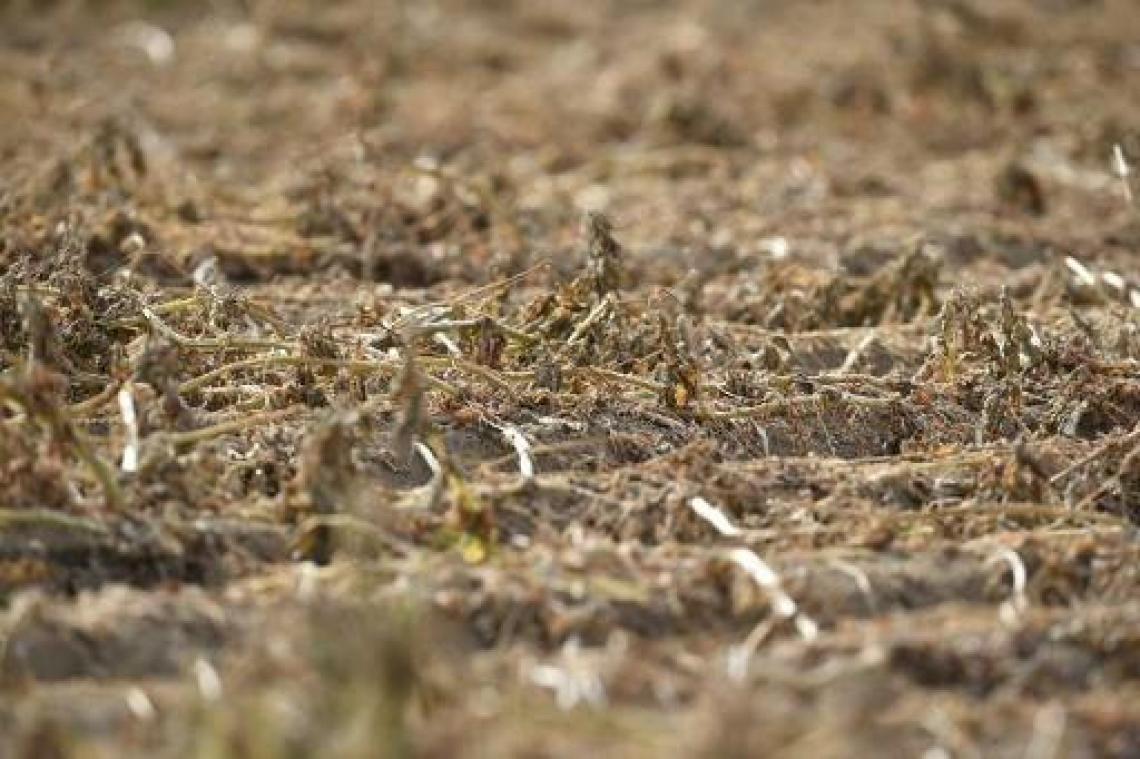 Waterkrachtcentrales in Wallonië stilgelegd door aanhoudende droogte