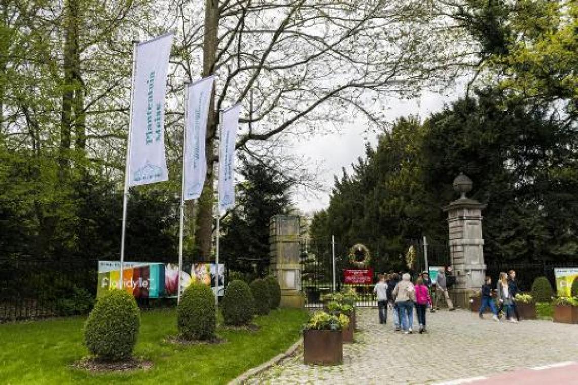 Plantentuin Meise herdenkt einde WOI met kunstwerk bestaande uit 5.000 klaprozen