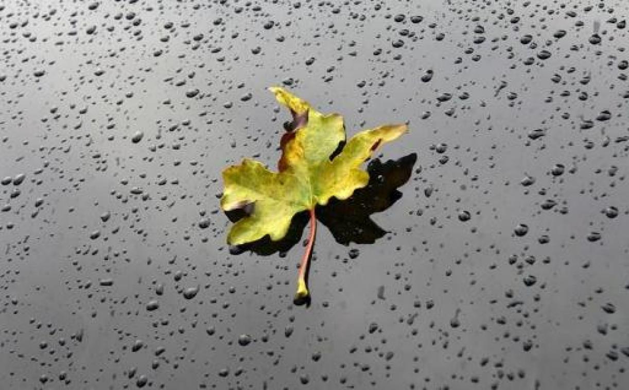 Weerbericht: buiig en koud herfstweer, volgende week (smeltende) sneeuw mogelijk in Ardennen