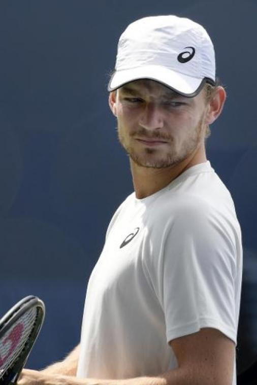 Goffin blijft twaalfde op ATP-ranking, Kevin Anderson maakt sprongetje