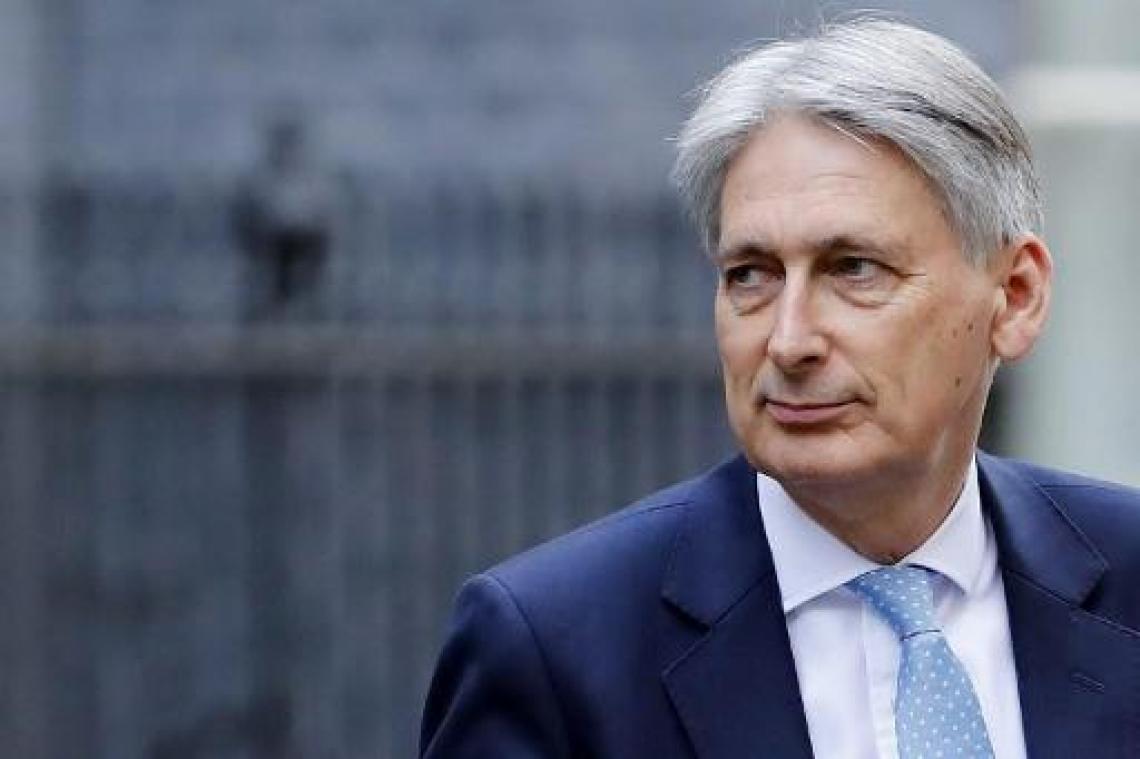 "Britten krijgen na vertrek uit EU brexit-munt"