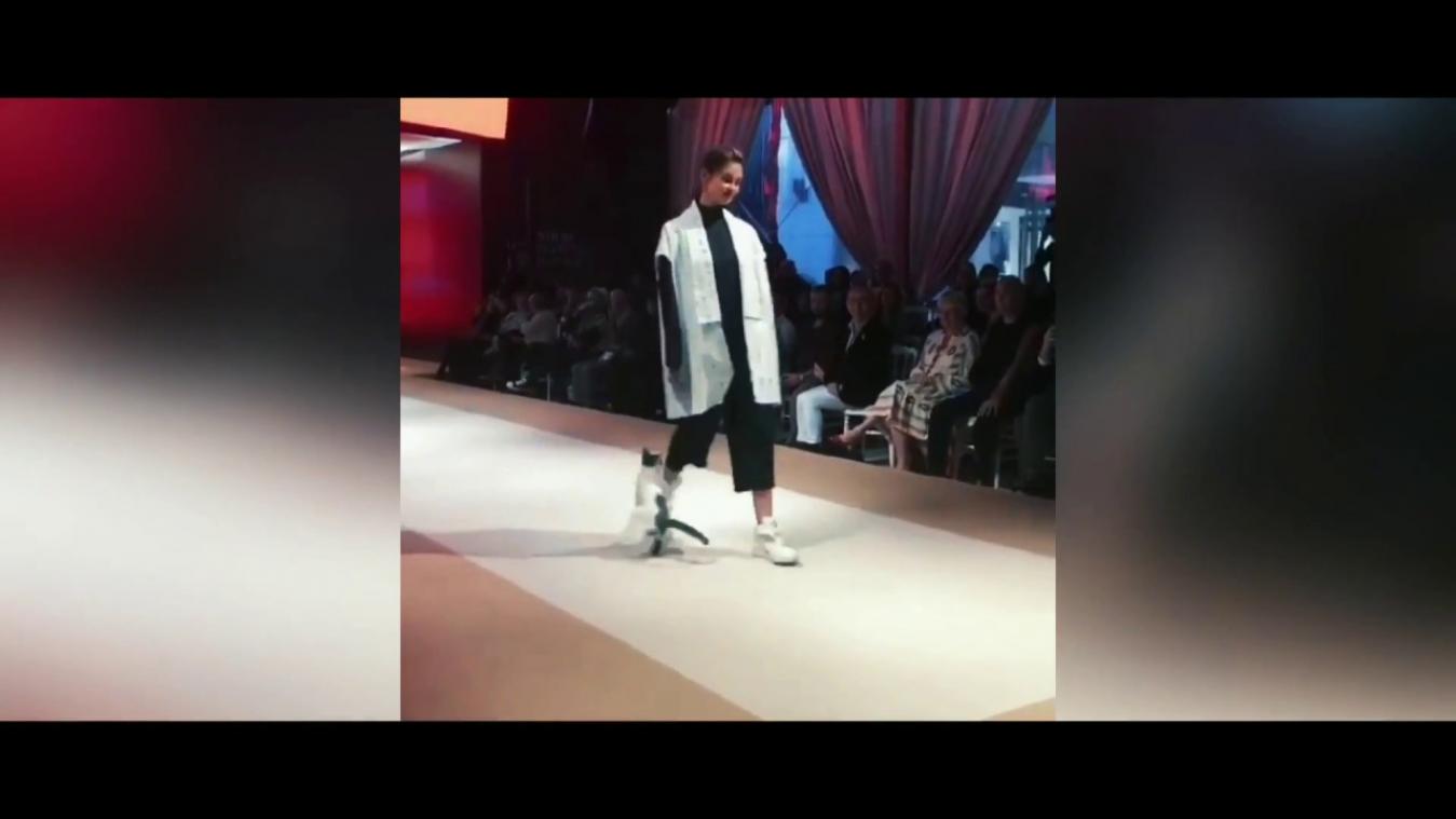 VIDEO. Kat neemt catwalk iets te letterlijk