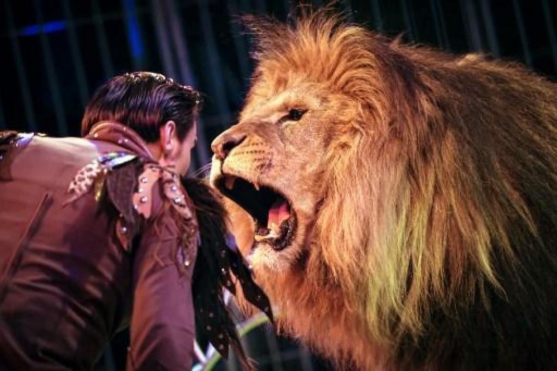 Portugal verbiedt wilde dieren in circus