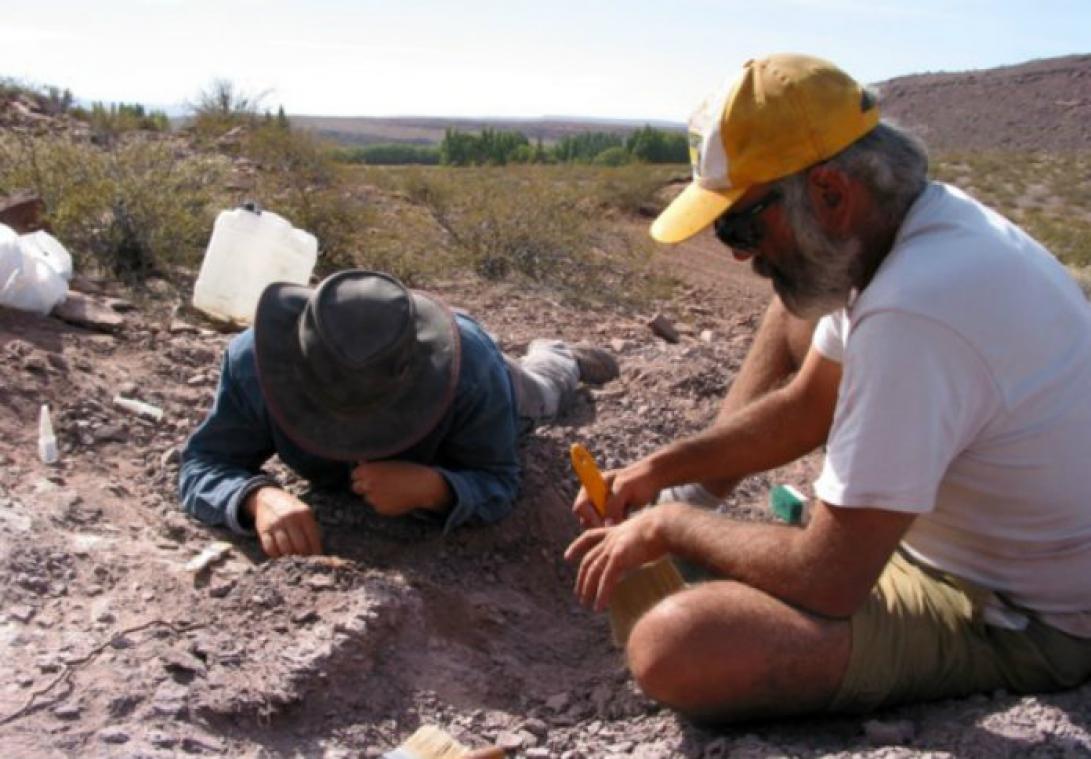 Nieuwe dinosoort ontdekt in Argentinië