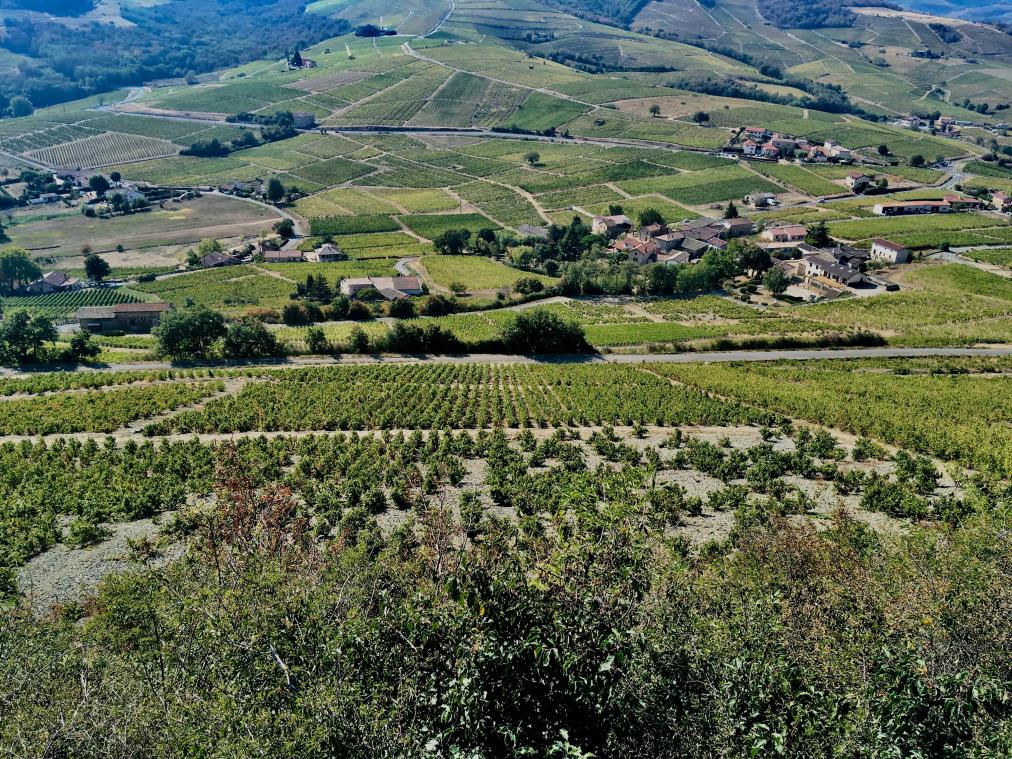 Een culinaire tour in de Auvergne-Rhône-Alpes