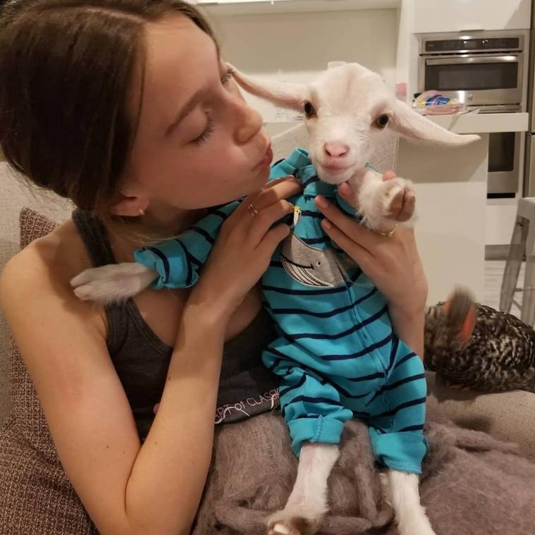 VIDEO. Babygeitje denkt dat het een hond is