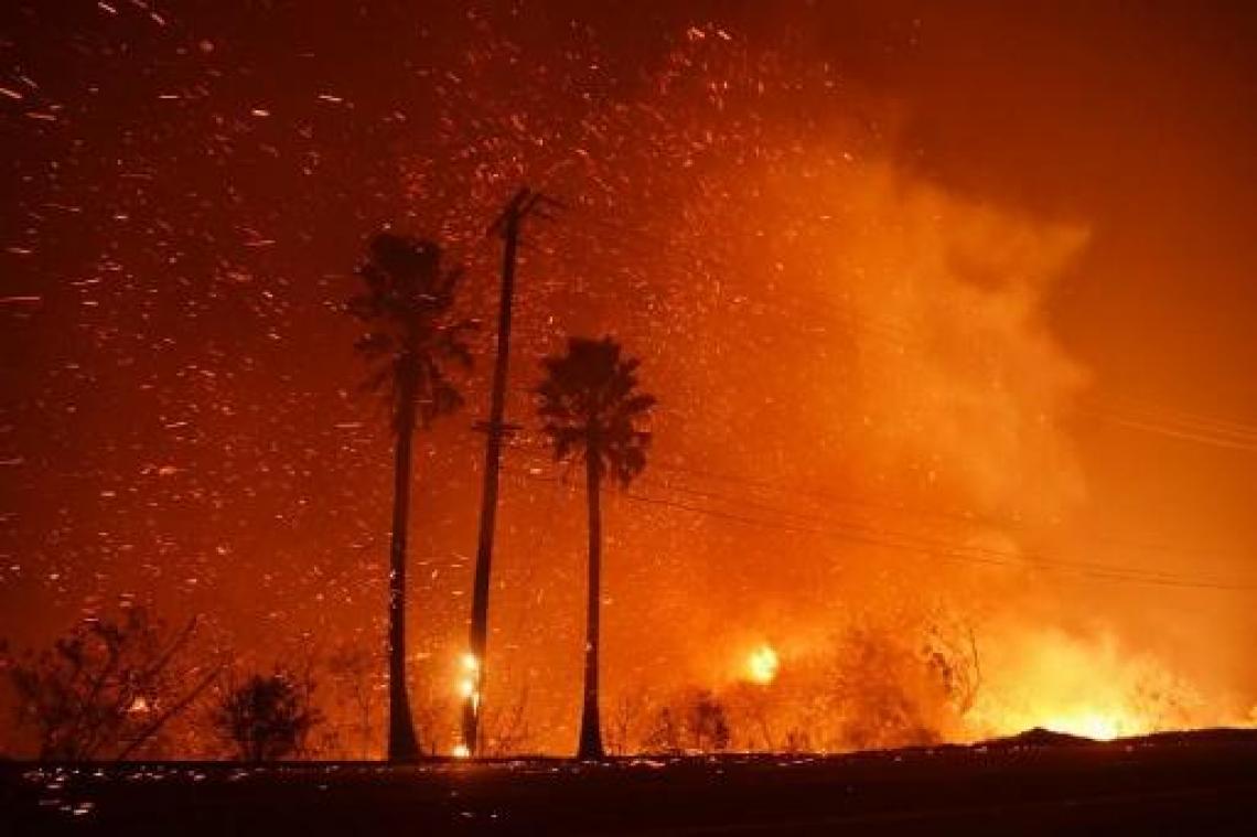 Bosbranden Californië - Al negen dodelijke slachtoffers