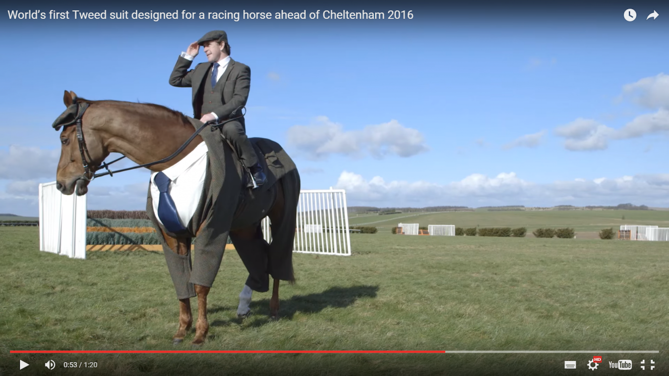 Dit paard is beter gekleed dan jij