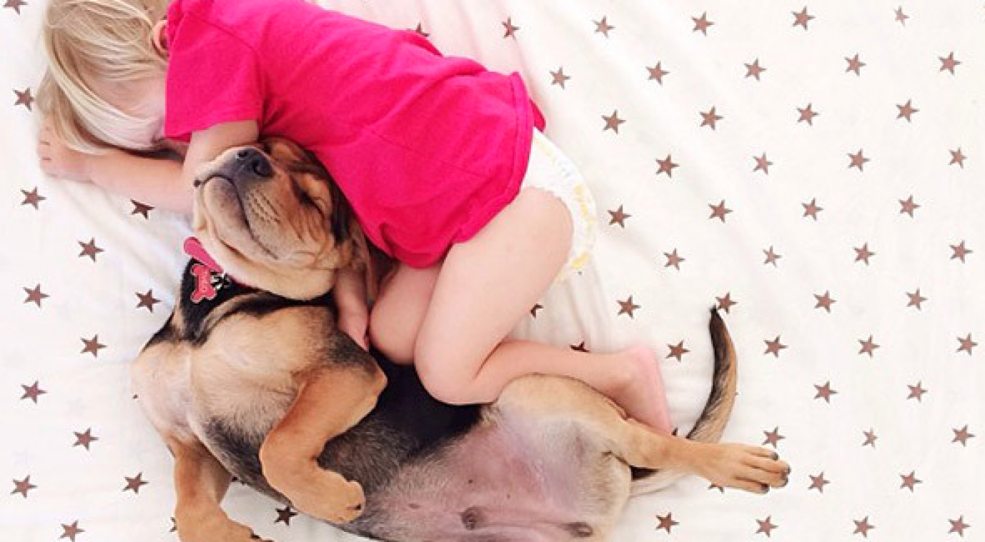Baby slaapt al maanden samen met puppy