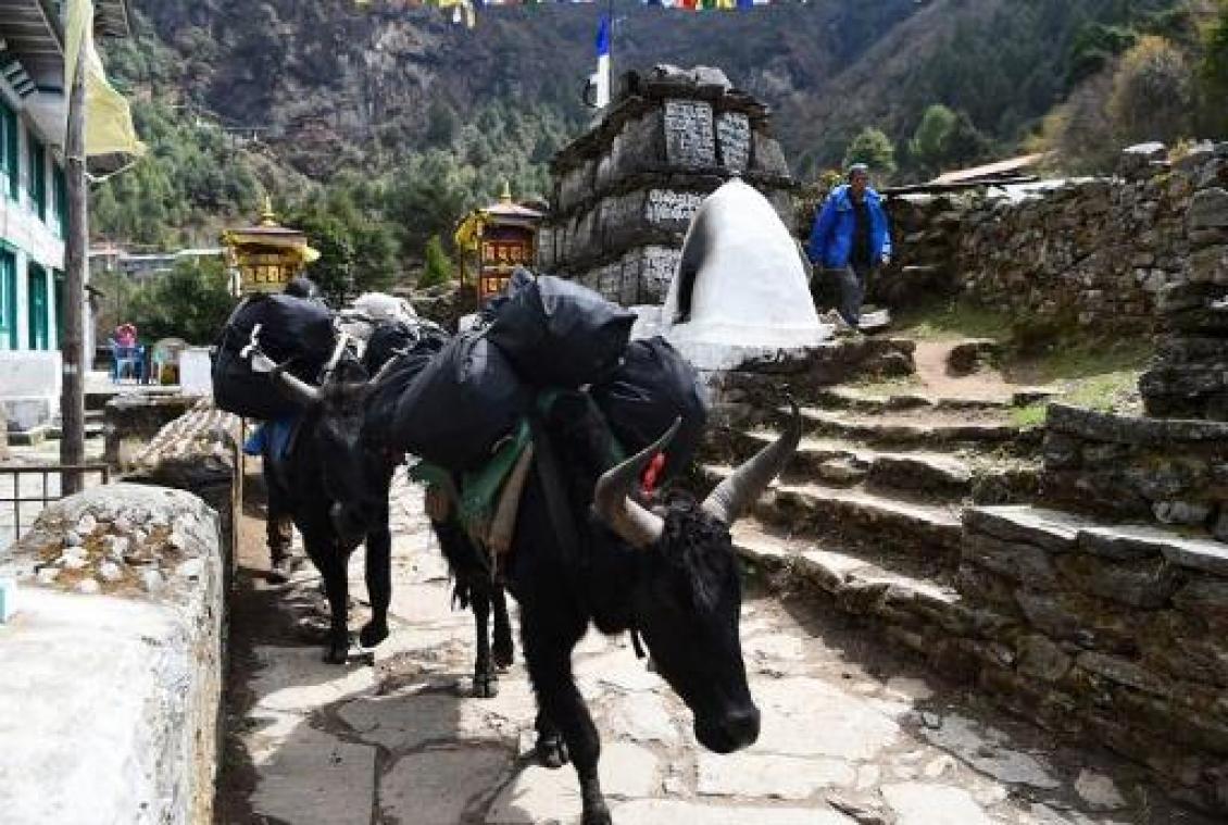 Drie buitenlandse trekkers in de buurt van basiskamp op de Mount Everest overleden