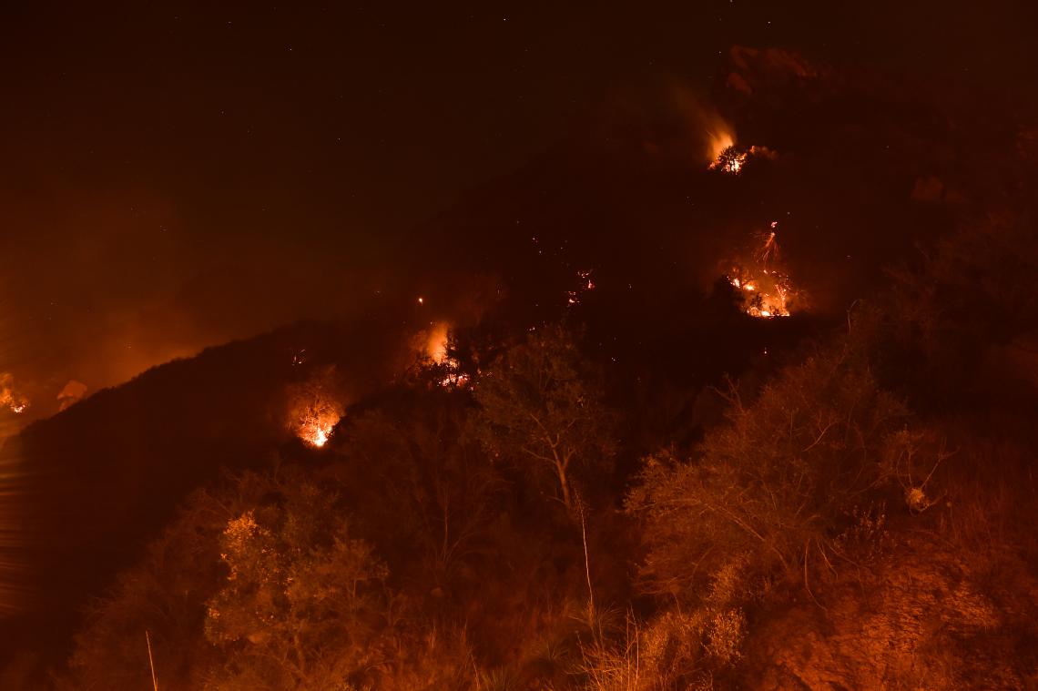 IN BEELD. Ook dieren zijn slachtoffer van bosbranden in Californië