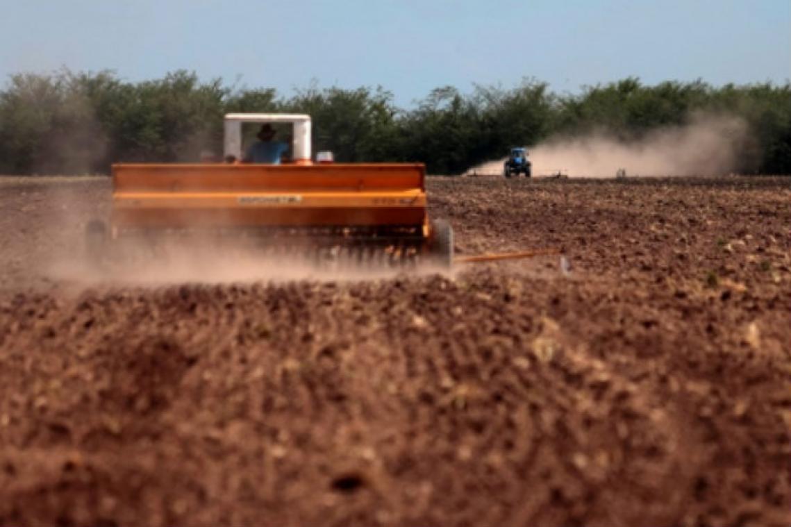 "Pesticiden zijn eerder regel dan uitzondering in Europa"