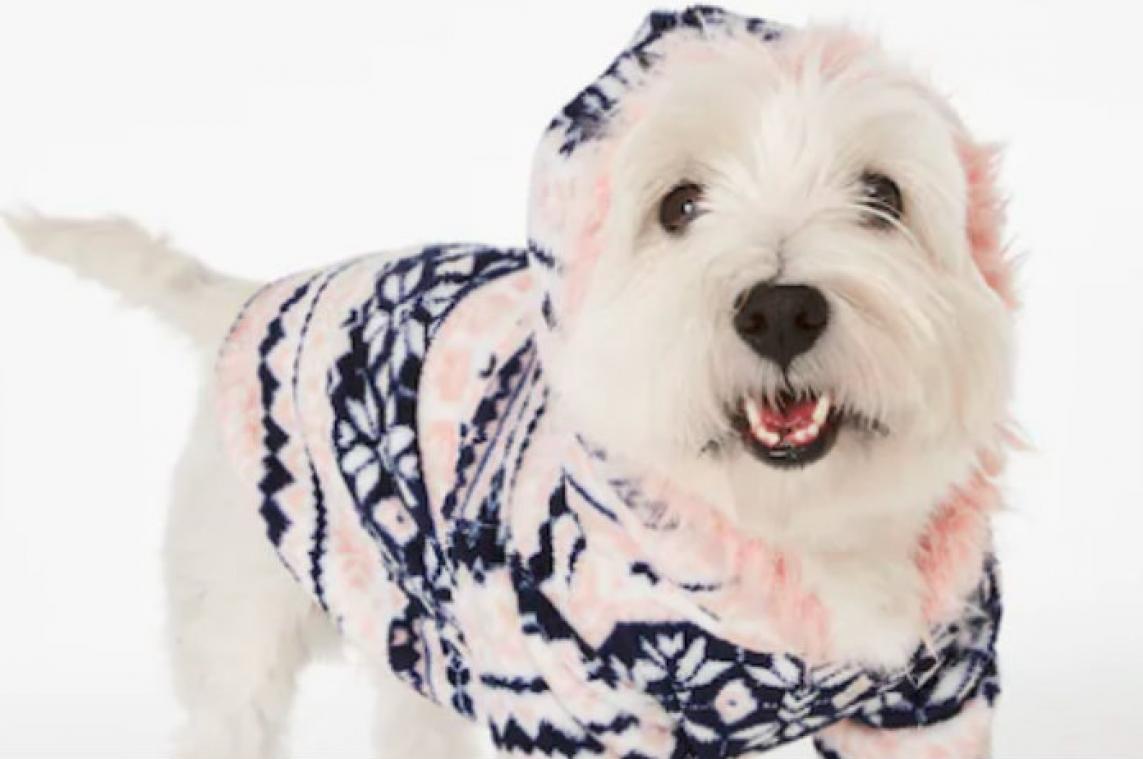 Schattig! Deze onesie-set versterkt de band met je hond