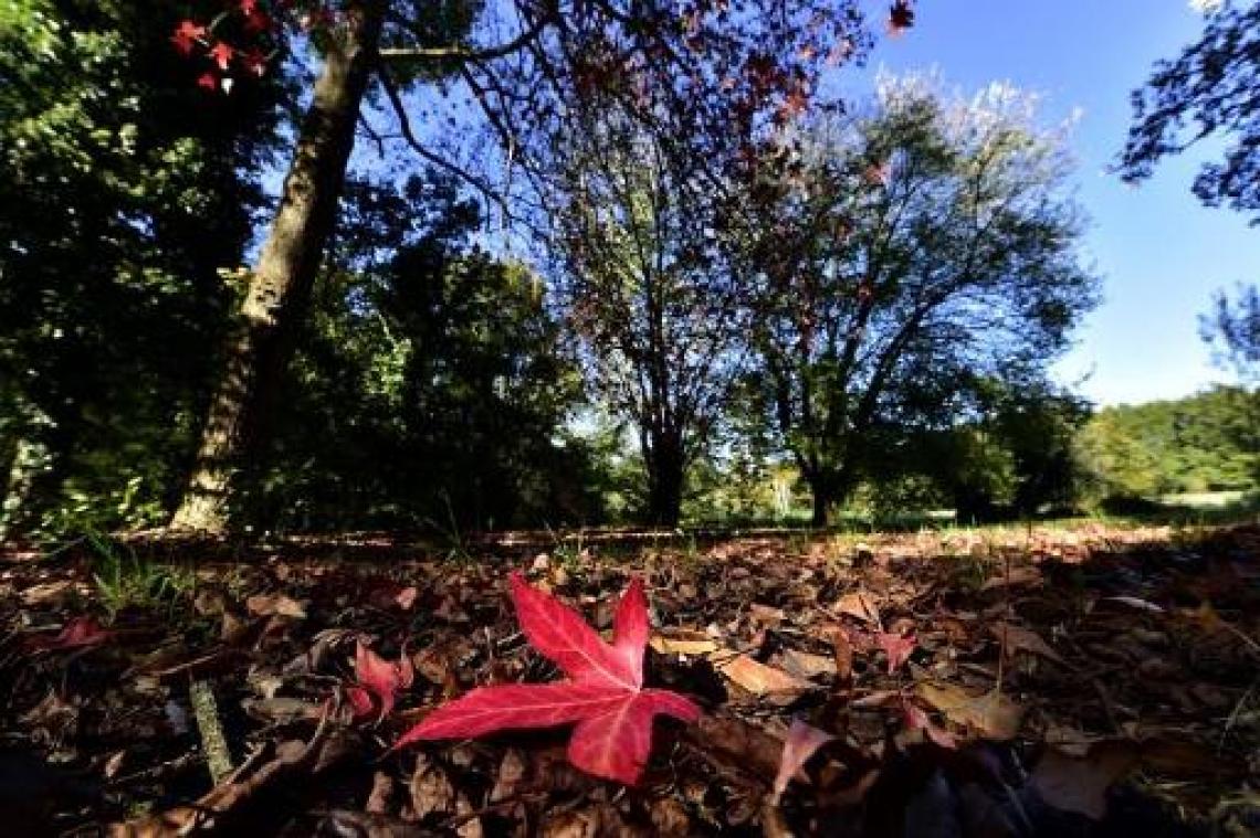 Weerbericht: zonnig en droog weekend op komst