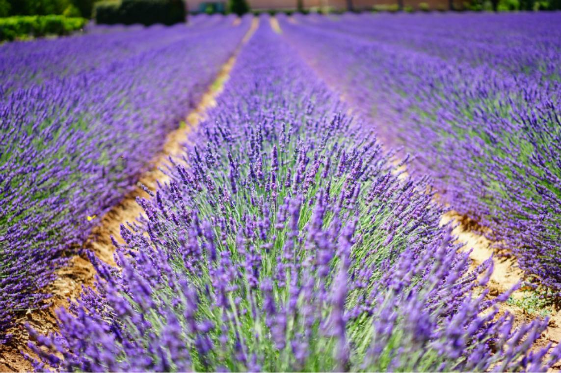 De 5 mooiste Europese bestemmingen volgens Lonely Planet