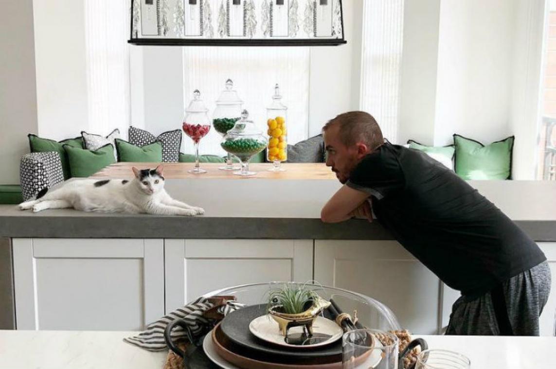 Kat vernielt huis van 'Malcolm in The Middle'-ster