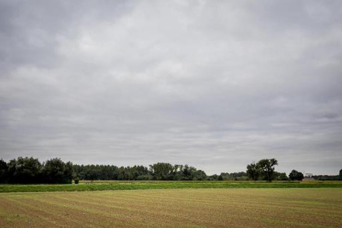 Weerbericht - Bewolkt en regenachtig