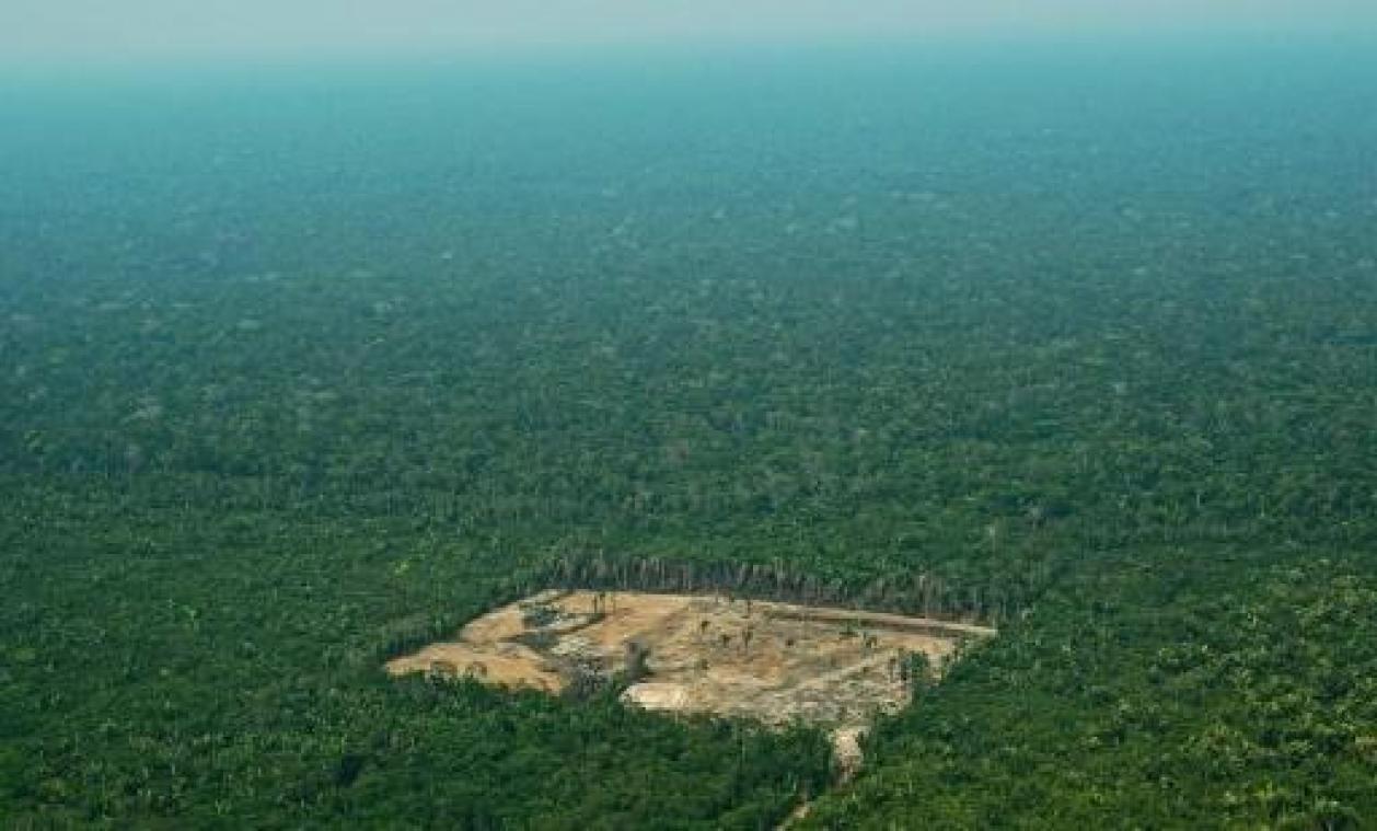 Ontbossing Amazonewoud in Brazilië op hoogste niveau in tien jaar