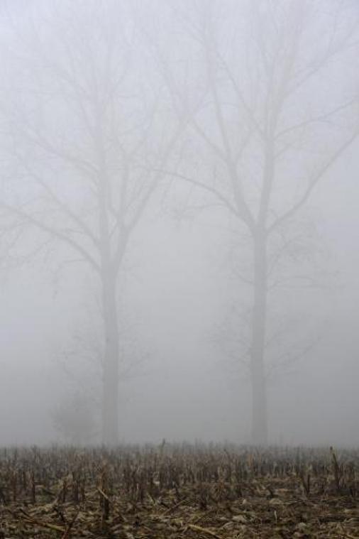 Weerbericht - KMI waarschuwt voor mist