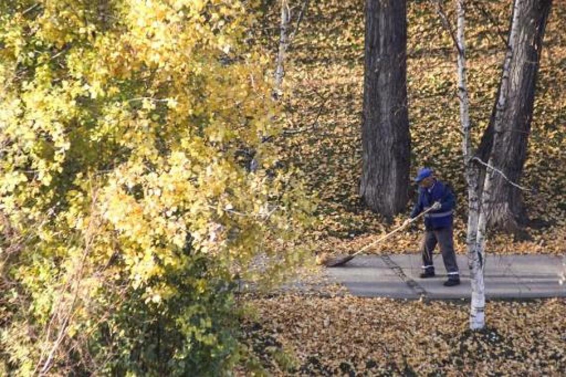 Weerbericht: met miezerig weer op weg naar zacht, maar nat weekend
