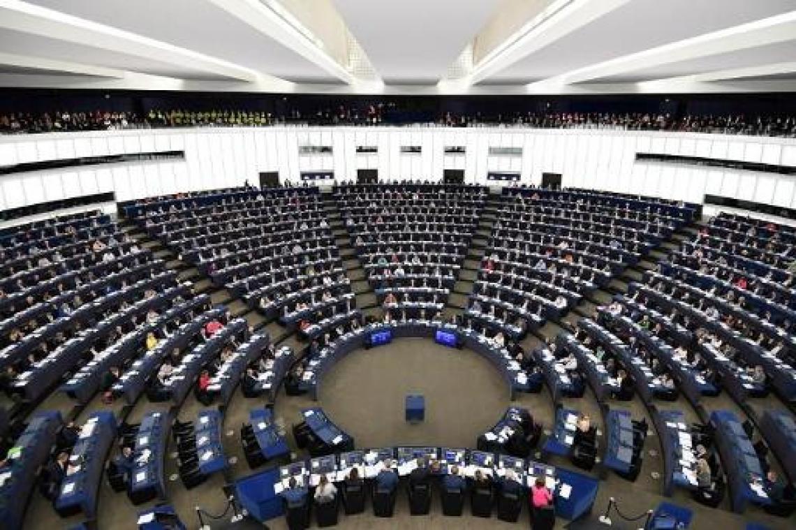 Groenen trekken naar Hof omdat EU-parlement onderzoek naar dierentransport "tegenhoudt"