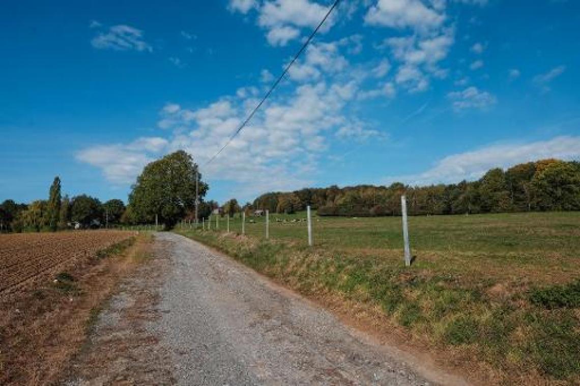Bijzonder zonnige november én herfst