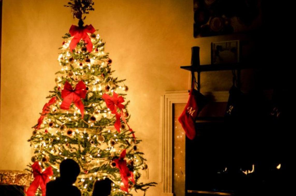 Zo kies jij de beste kerstboom uit