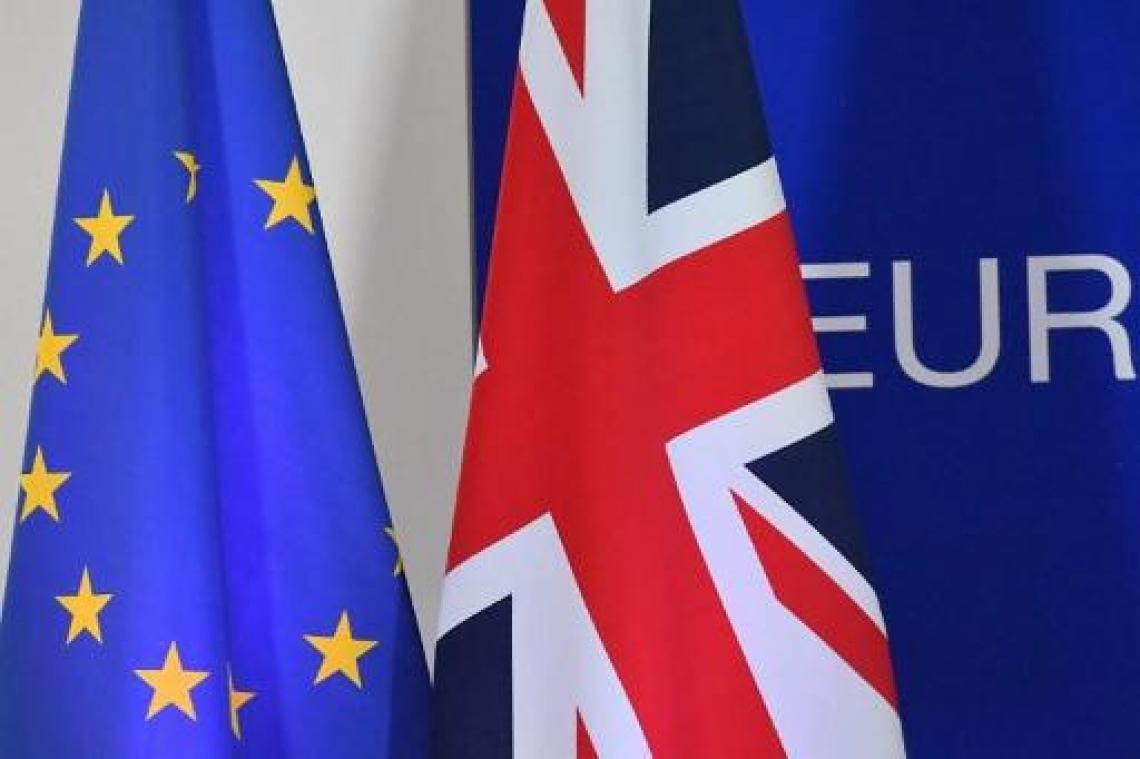 EU-Hof beslist dag voor stemming over Britse mogelijkheid om brexit eenzijdig te stoppen