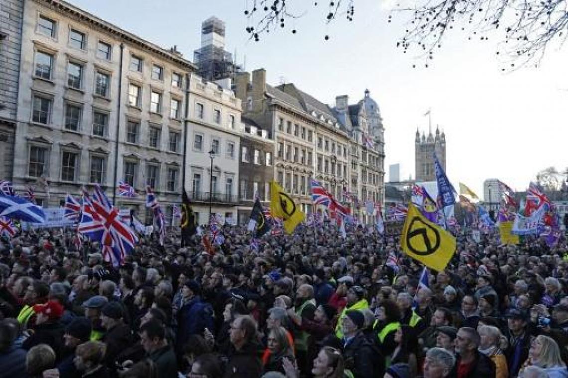 Duizenden betogen in Londen voor uitstap uit EU