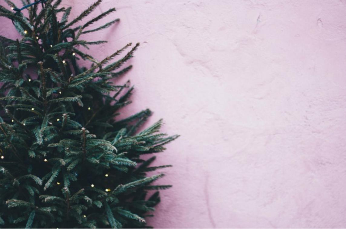 IN BEELD. 'Portal' kerstbomen voor sciencefictionfans