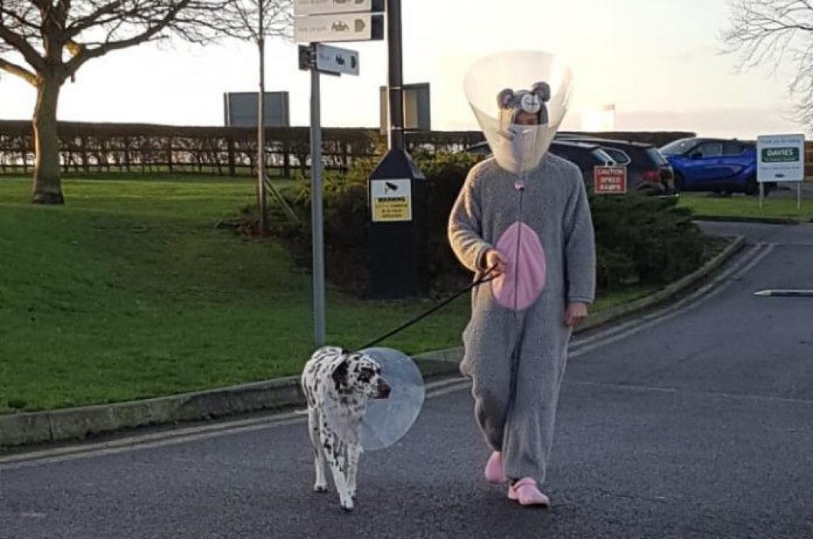Dierenarts verkleedt zich als muis om bange dalmatiër te opereren
