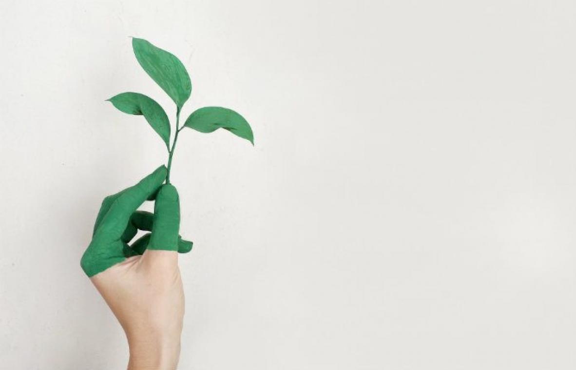 Biologisch of fairtrade? Zo weet je wat je eet