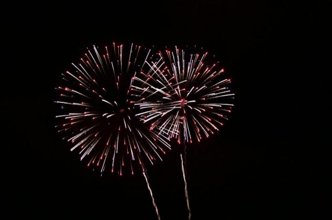 10 tips voor honden met angst voor vuurwerk