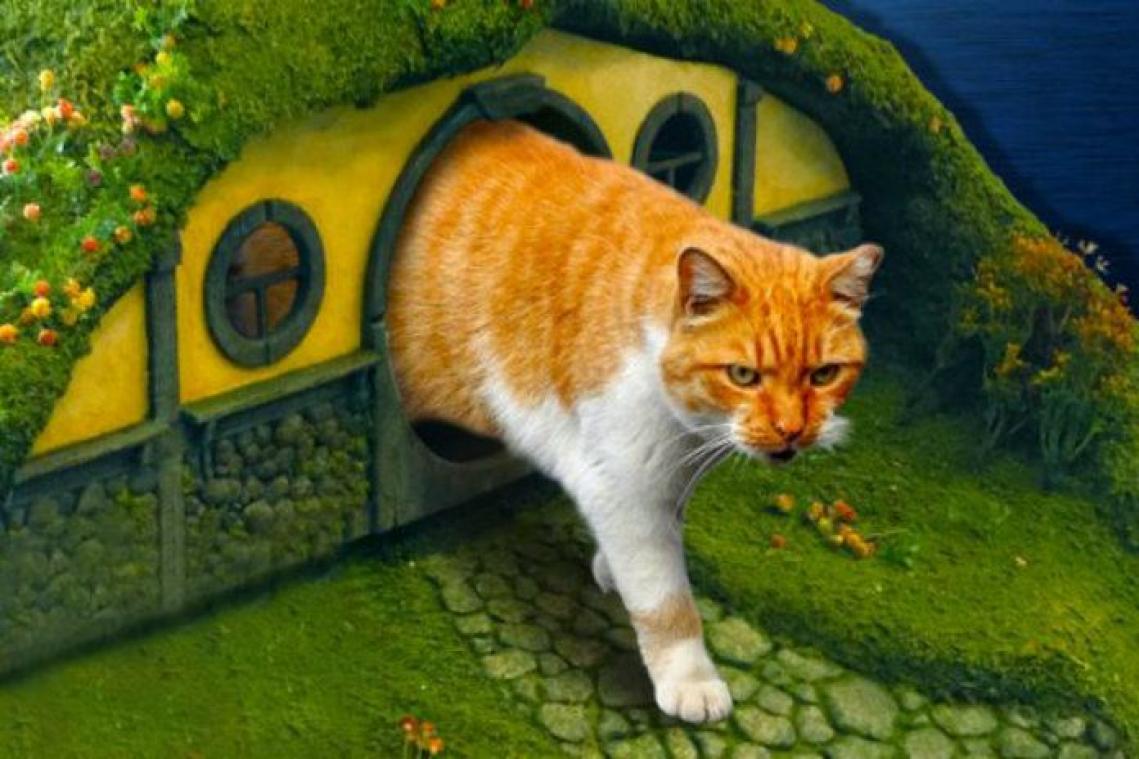 Gelukkige poes krijgt een 'Lord of the Rings'-krabpaal en -kattenbak