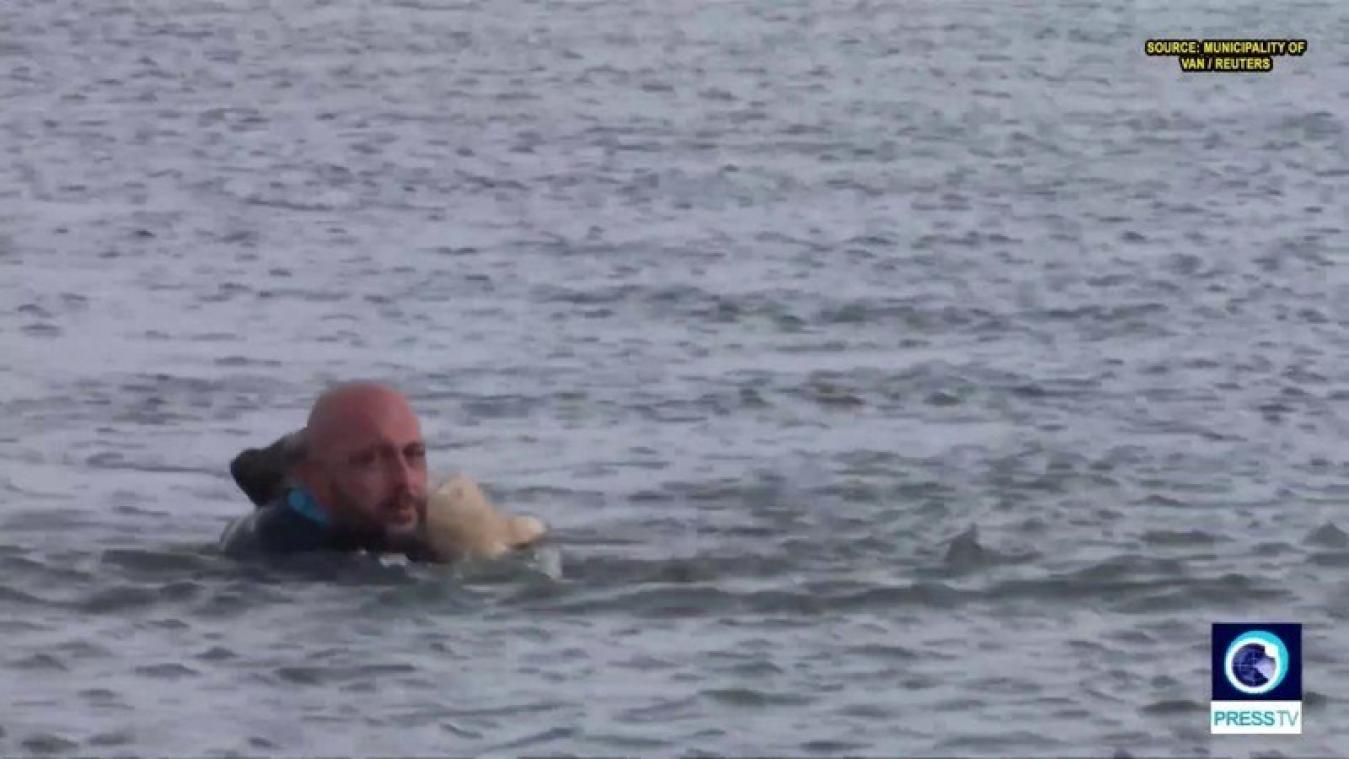 VIDEO. Turkse agent riskeert zijn leven om onderkoelde puppy in meer te redden