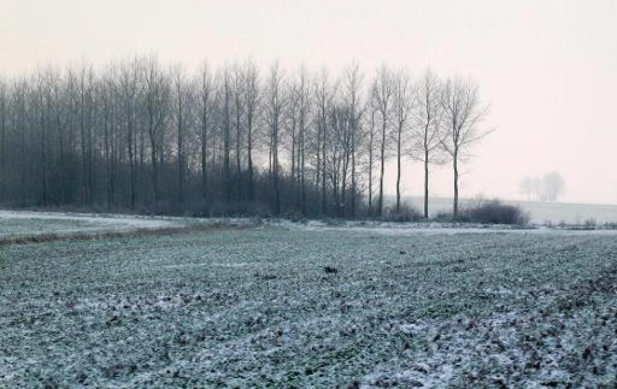 Zwaarbewolkt met buien, in de Ardennen zijn sneeuwbuien mogelijk