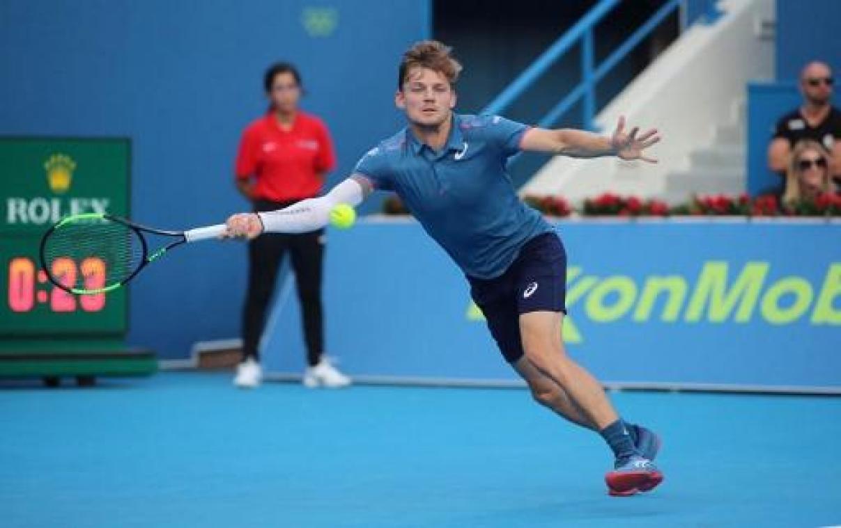 David Goffin verovert eerste dubbeltitel bij comeback
