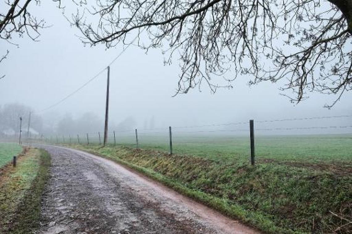 Weer blijft grijs met soms lichte regen